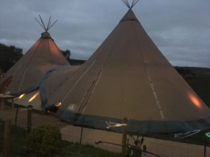 Tipis
